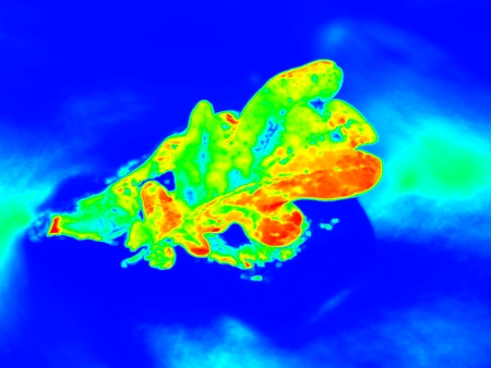 Infrared scan of leaves in river. Maple and  oak leaves on stream water level. Thermo vision changed colors. Temperature measurement.の写真素材