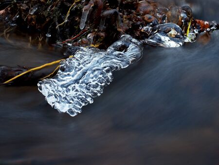 Winter creek with icicles above freeze mountain stream. Winter season at the river, shinning icicles are hanging on fallen trunk above milky water level.の写真素材