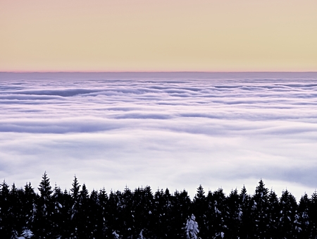 Winter evening in mountains. Powder snow covered forest in mountains. Minute before sunset. Chill evening.の写真素材