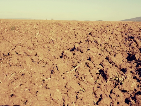 Dry dusty clay on the field. Empty plowed field waits for sowing. Dust from the dry clay wind blowing away. Hot spring day in the fieldの写真素材