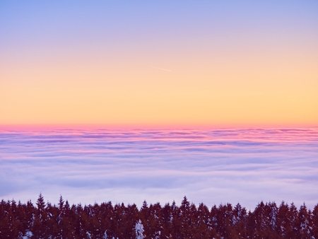 Winter evening in mountains. Powder snow covered forest in mountains. Minute before sunset. Chill evening.の写真素材