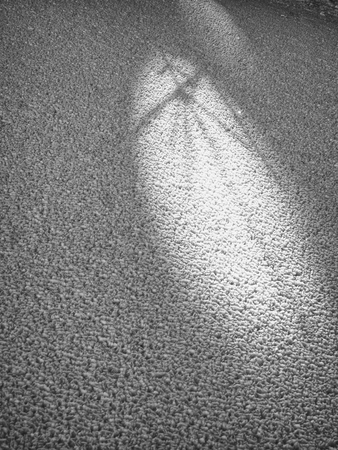 Shadows of tree in stucture of crystal snow. Snow surface from very close distance. Frozen snow...