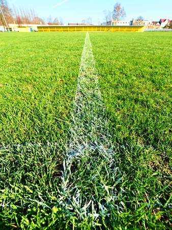 Border of painted white lines on natural dry football grass. Cut green turf texture.