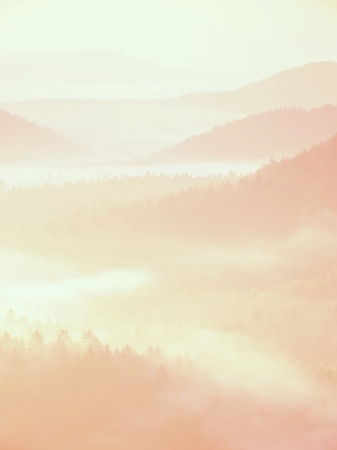 Red daybreak. Misty daybreak in a beautiful hills. Peaks of hills are sticking out from foggy...