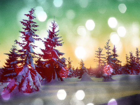 Film grain effect. Winter in mountains. Fresh powder snow covered trees in mountains. Minute before sunset. Chill evening.の写真素材