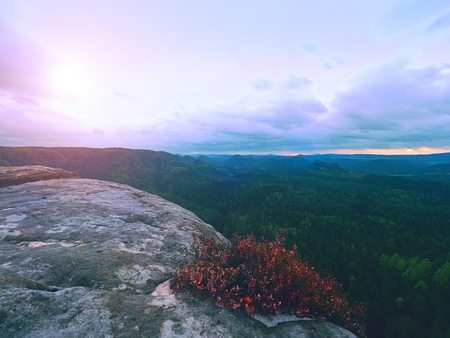 Melancholy sunrise above cracked rocks and fresh green forest, colorful valley full of dense mist colored with hot sun rays. Foggy strips between treetops between hills.の写真素材