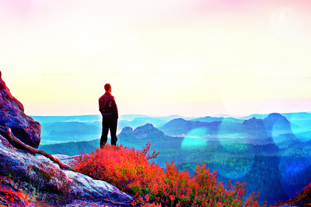 Film grain effect. Tall man in black on the cliff with heather bush. Sharp rocky mountains park and view point above valley.の写真素材