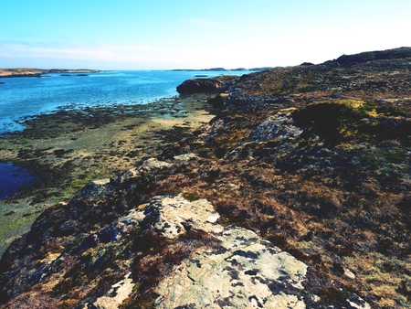 Stony shore of the North sea. First warm spring day, poor dry grass on rocky hillside at cold blue ocean.の写真素材