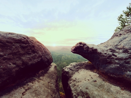 Morning view over crack sandstone edge into forest valley, daybreak Sun at horizon. Hike in natural park. Image is filteredの写真素材
