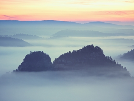 Dreamy landscape lost in thick fog. Fantastic morning glowing by gentle sunlight, foggy valley.  Blurred Background.の写真素材