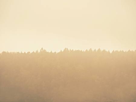 Forest hill hidden im thick fog. Misty dreamy landscape at beginning of September.