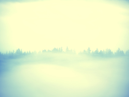 Lens defect. Dreamy landscape lost in thick fog. Fantastic morning glowing by gentle sunlight, foggy valley.  Blurred Background.の写真素材