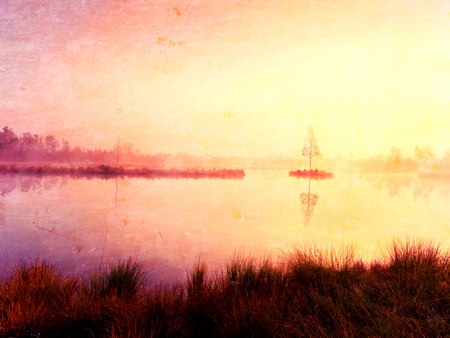 Flare, soft focus. Young birch tree on island in middle of swamp lake. Purple morning  with peaceful water level in mysterious forestの写真素材