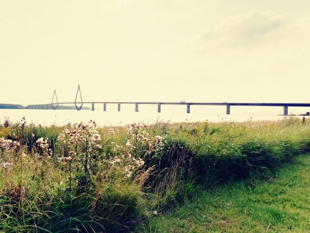 The famous Faro Bridge  in Denmark (Danish: Farobroerne). The two road bridge connect the islands of...