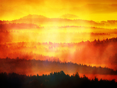 Abstract effect. Dreamy landscape lost in thick fog. Fantastic morning glowing by gentle sunlight, foggy valley.の写真素材