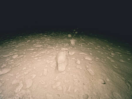 Traces of feet in powder snow. Frozen straw of grass covered with frost. Dark chilly night. Snow meadow photographed in winter nightの写真素材