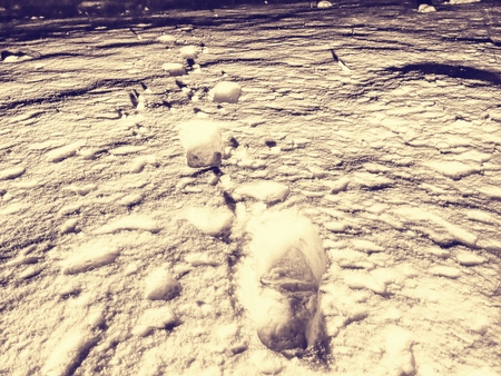 Traces of feet in powder snow. Frozen straw of grass covered with frost. Dark chilly night. Snow meadow photographed in winter nightの写真素材