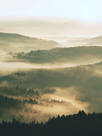 Autumn sunrise. Deep forest in a beautiful hilly landscape within inversion weather. Treetops  increased from foggy background. Vivid effect.の写真素材
