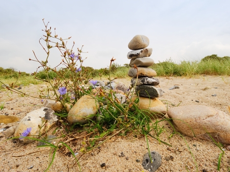 Stacked stones in pyramid on the grass. Coastline in summerの写真素材