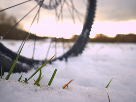 Extreme race in snow. Winter adventure and extreme cycling concept, sport fitness motivation and inspiration.の写真素材