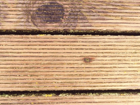 The surface of the hardwood floor treated with a fungicidal and insecticidal sealer. Places with...