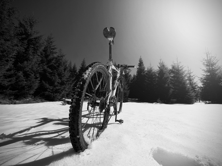Cycling in winter snowy mountains on a large tire wheels mountain bike. Sunny winter day.の写真素材