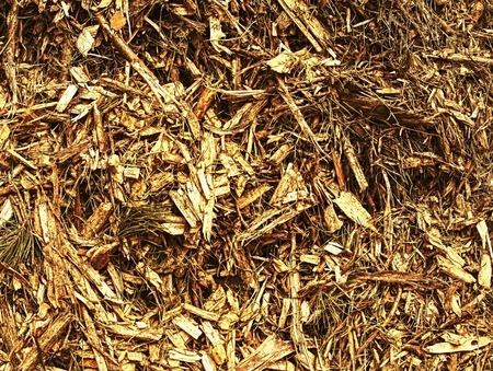 Waste sawmill and bark chips. Stack of raw material. Log yellow and brown wooden splinters.の写真素材