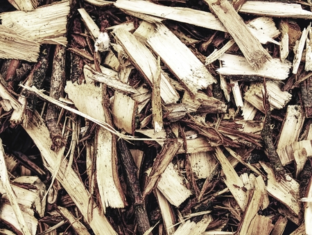 Waste sawmill and bark chips. Stack of raw material. Log yellow and brown wooden splinters.