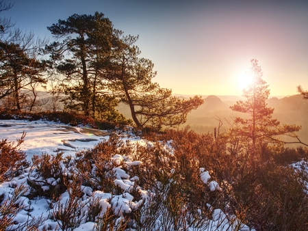 Stay in snowy forest on the mountain. First warm sunrays go through trees branches.の写真素材