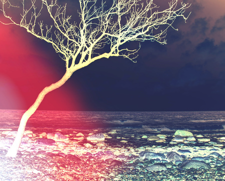 Rocky coast. Slow shutter speed for smooth water level . Hipster filter.の写真素材