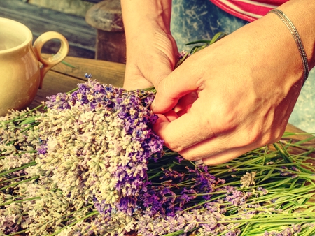 Skilful hands of girl putting fresh blossoms of  lavender into wonderfully scented bouquet. Flowers and  garden shears on wooden table workplaceの写真素材