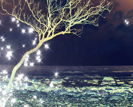 Romantic atmosphere of sea. Peaceful morning sea level with stones in peaceful sea level. . Hipster filter.の写真素材