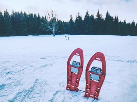 Set of light red snowshoes. Snowshoes stand on the snow in mountains.の写真素材