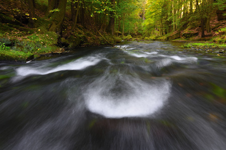 Mountain stream with clear water between moss covered boulders in deep valley. Green leaves trees in soft lightの写真素材