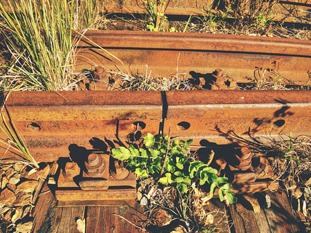 Close view of railroad track old fashioned rusty clamps and screws wooden railroad.の写真素材