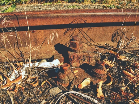 Detail of rusty screws and nut on old railroad track. Rotten wooden tie with rusty nuts and bolts. Damaged wooden railway sleeper. No train passed this railroad for a long time.の写真素材