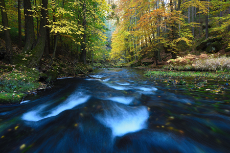 Autumn landscape colorful leaves on trees morning at river after rainy night. Colorful leaves. Autumn stream. Forest river. November scene.の写真素材