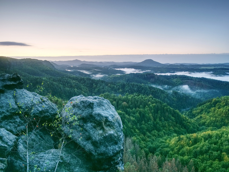 Summer misty landscape. Early morning in beautiful hilly landscape of Bohemian-Saxony Switzerland. Peaks of hills increased from heavy creamy fogの写真素材