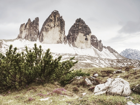 The  popular Tre Cime di Lavaredo. The most famous peaks in the Italian Dolomites,  spring afternoonの写真素材