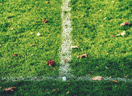 Abandoned football playground in autumn season. Fresh green grass with fallen leaves. MJessy soccer field.  Green grass background.の写真素材