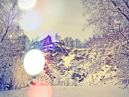 Branches of trees are covered with fresh  snow in a mysterious forest. The winter evening . Hipster filter.の写真素材