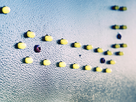 Led in information board, detail.  Small yellow diodes on outdoor info table