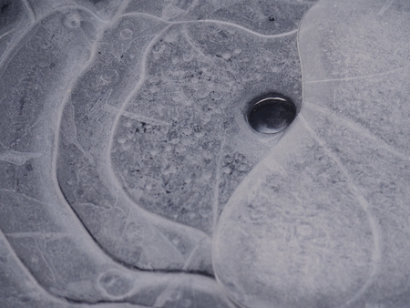 Circles of air bubbles frozen in pond ice. Amazing shapes. Clear transparent ice.の写真素材