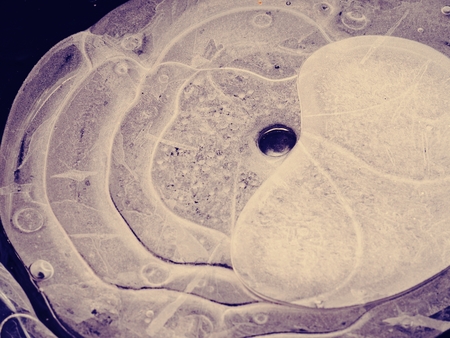 Thrown stone has created amazing shapes from air bubbles under lake ice. Hole in the ice of a small...