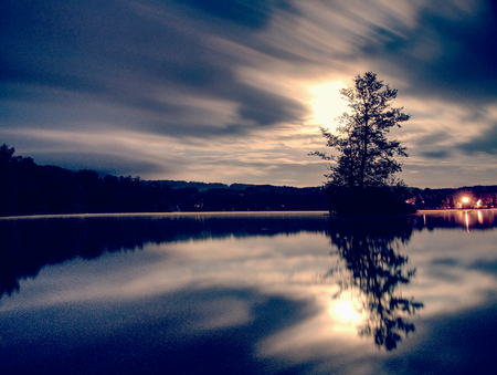 Tree on island in middle of swamp lake. Full moon night with peaceful water level in mysterious...