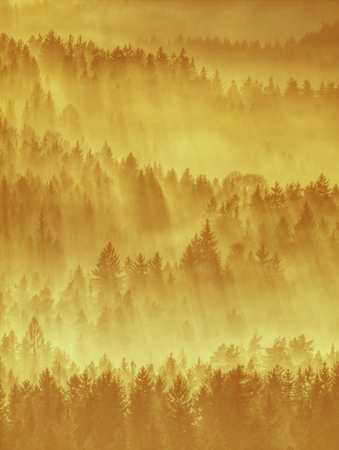 Aerial view of amazing misty mountains and forests. Magical and colorful autumnal foggy landscapeの写真素材