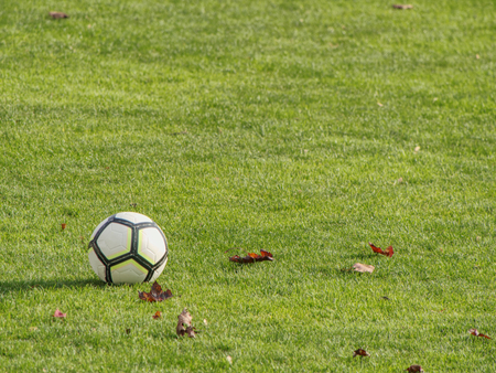 White lines on football playground. Detail of a of white lines in a soccer field.の写真素材