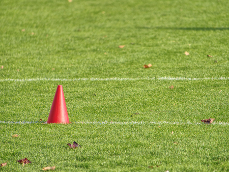 Training equipment on the green field of the stadium. Banana and small cones in line.の写真素材
