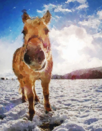 Effect watercolor paint.  Light brown horse head with dark eye. Horse  face with shallow depth of fieldの写真素材