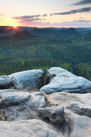 Long valley full of fresh green forests. The misty forest valley of national park in germany with the sandstone rockの写真素材
